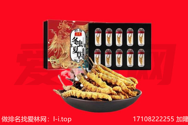 昌吉市回收虫草.jpg